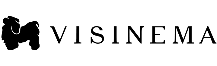 Visinema Logo